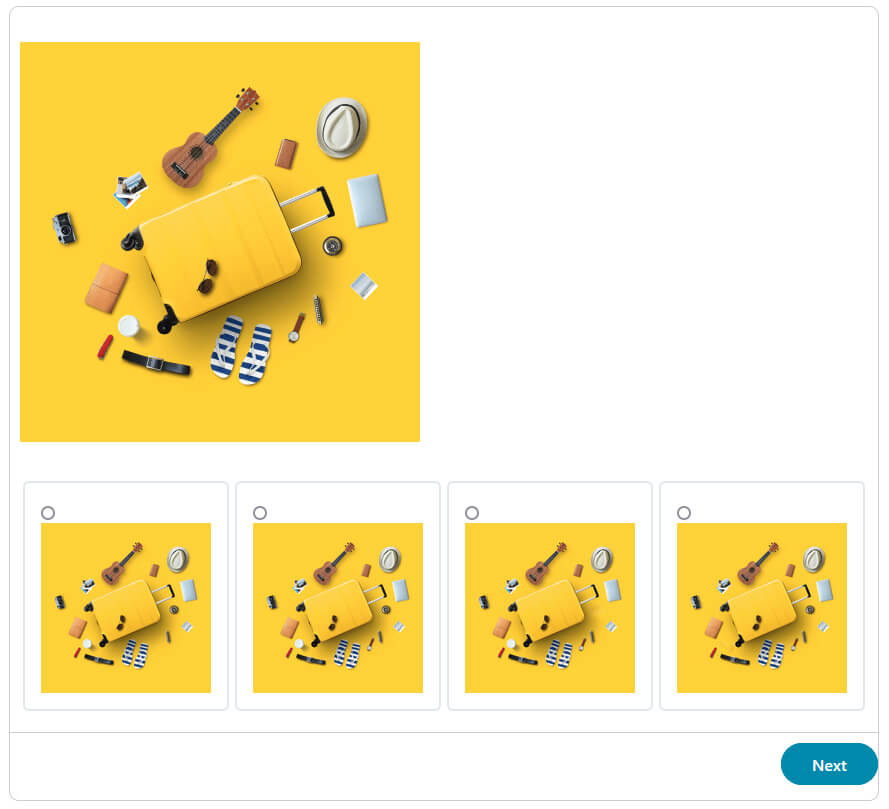 TSA Image Recognition Practice Test